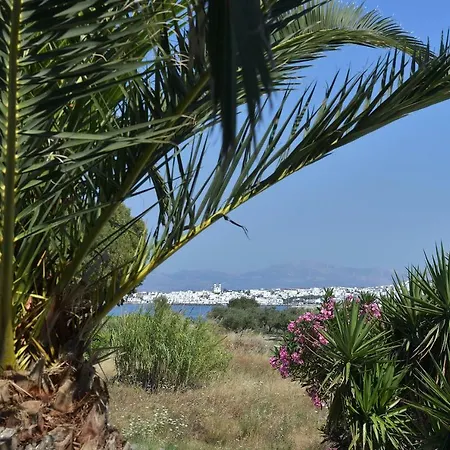 Villa Kolymbithres Seaside